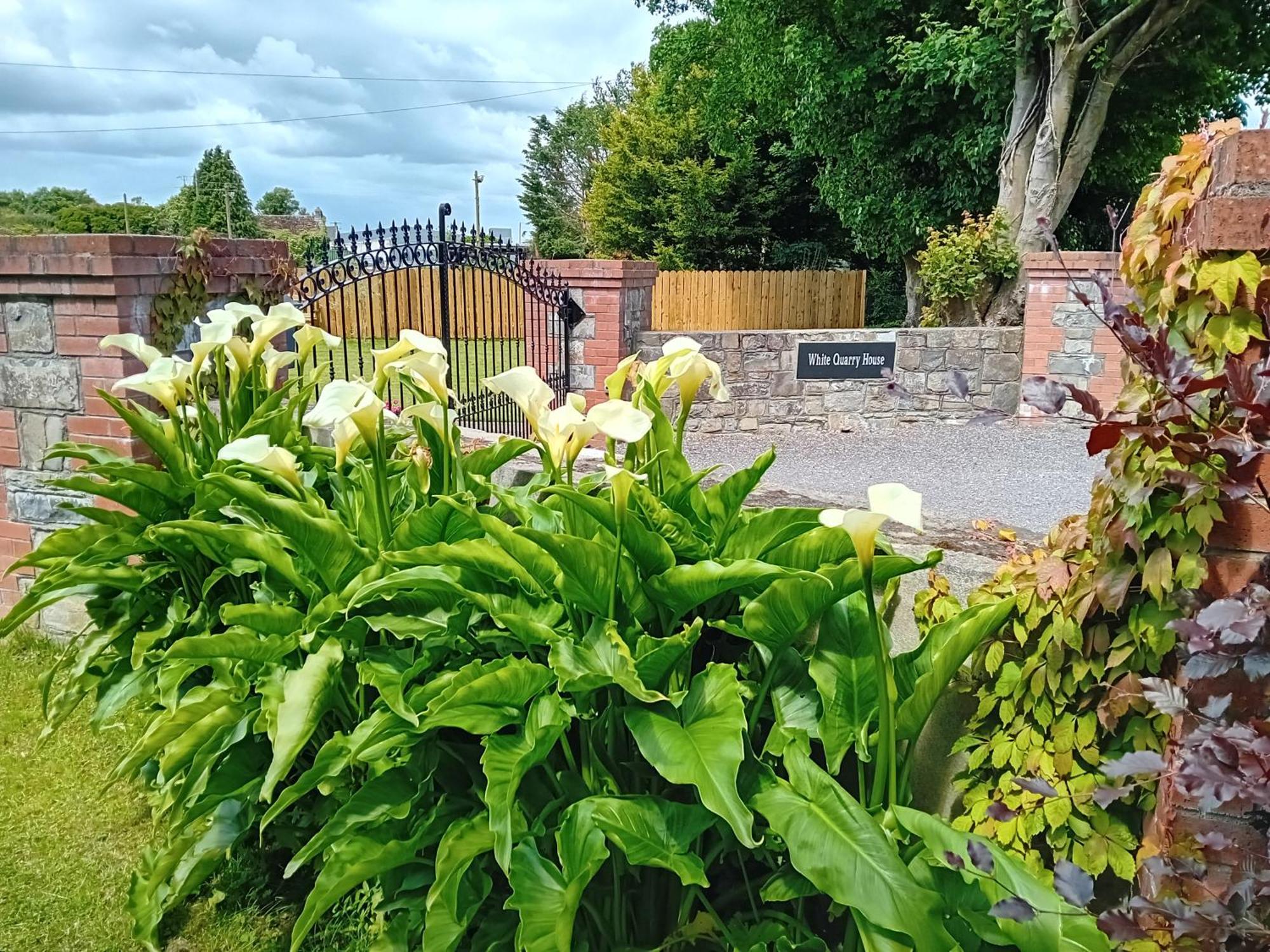 Ferienwohnung White Quarry House Navan Exterior foto